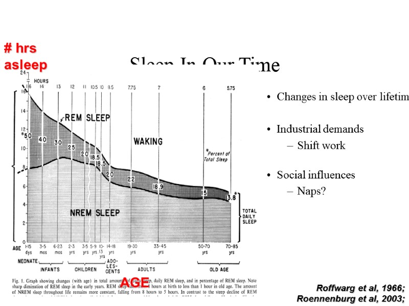 Sleep In Our Time  Changes in sleep over lifetime  Industrial demands Shift